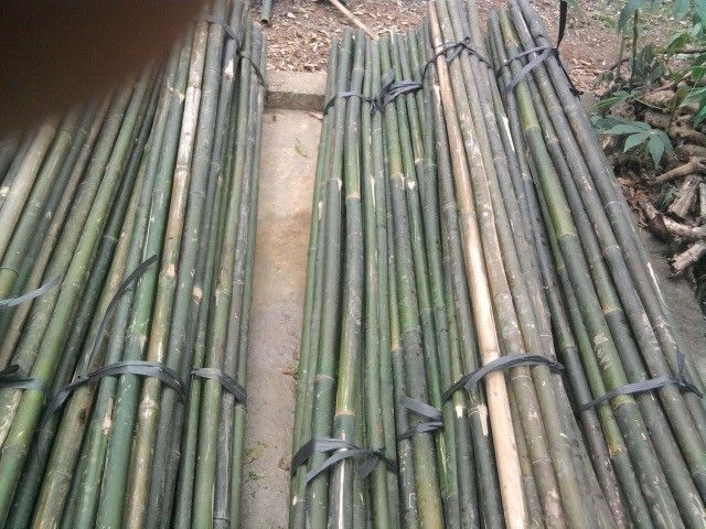 Thi công quán bằng tre tại đà nẵng